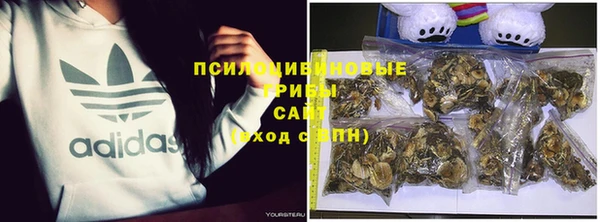 гидра Алексеевка
