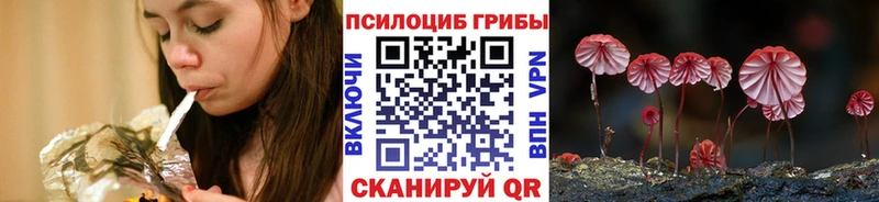 Галлюциногенные грибы мухоморы  где купить   Приозерск 